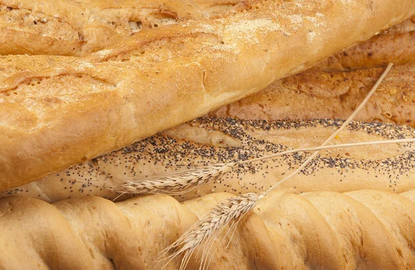 Een groot aantal stokbrood — Stockfoto