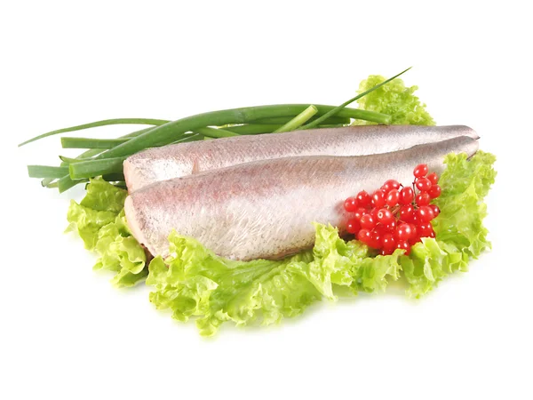 Raw hake fillet with lettuce — Stock Photo, Image