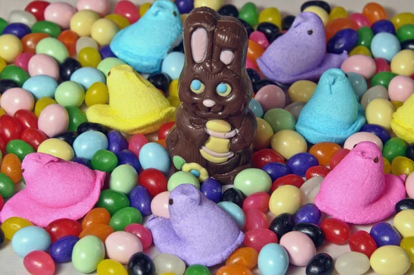 Cioccolato coniglio pasquale — Foto Stock