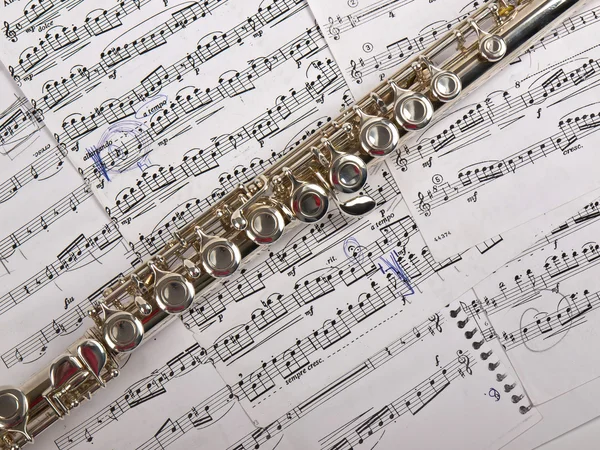 Flauta e notas — Fotografia de Stock