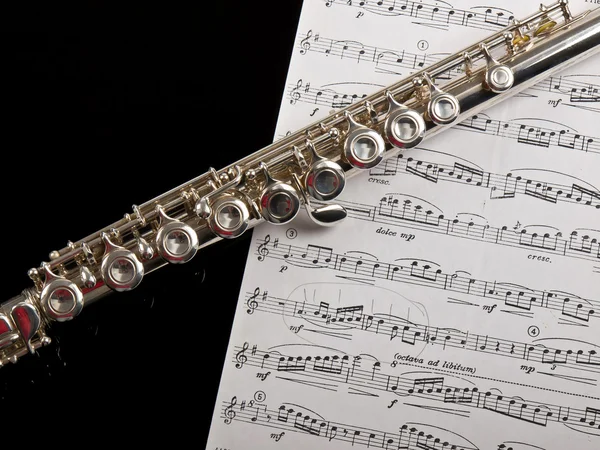 Flauta de prata — Fotografia de Stock