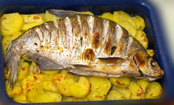 Ryba z grilla — Zdjęcie stockowe