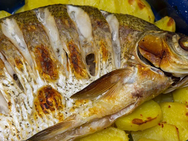 Ryba z grilla — Zdjęcie stockowe