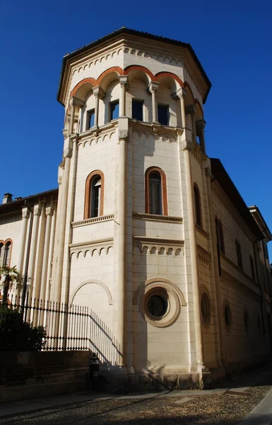 Tarihi Saray, pavia — Stok fotoğraf