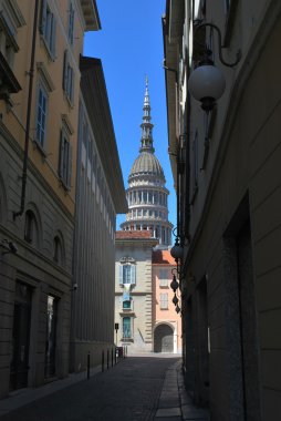 St. Gaudenzio dome, Novara clipart