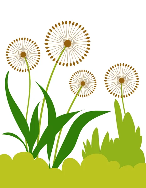 Blommiga växter design — Stockfoto