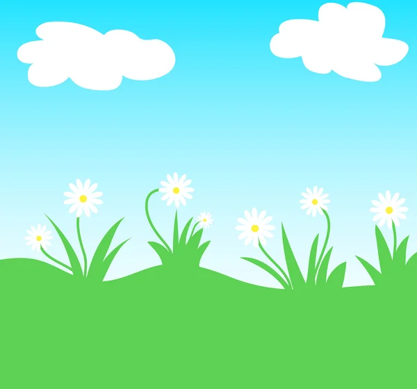 Jarní letní květiny — Stock fotografie