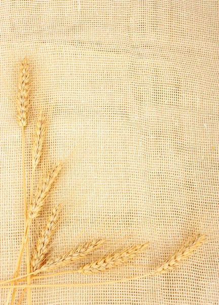 stock image Wheat in burlap