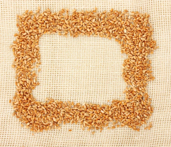 Wheat ears border — Stock Photo, Image