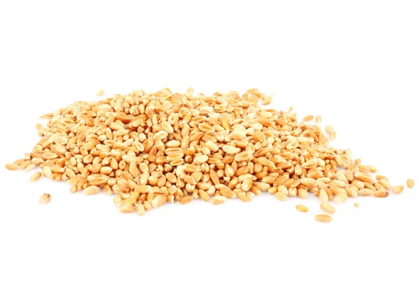 小麦的耳朵山 — 图库照片
