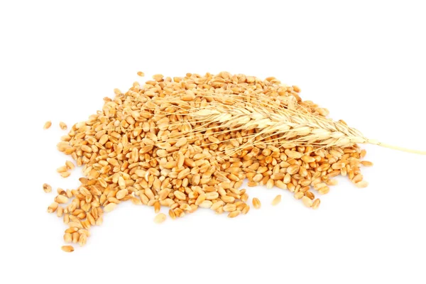 Pšenice uši hill — Stock fotografie