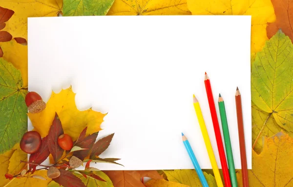 Leaves, paper and pencils — Stock Photo, Image