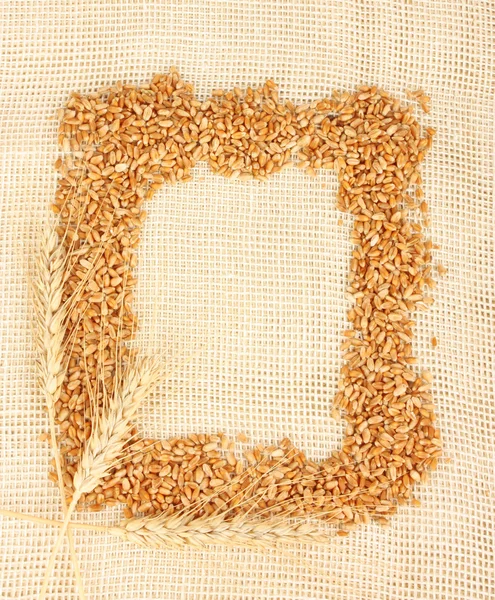Wheat ears border — Stock Photo, Image