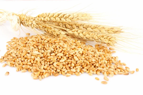 Wheat ears hill — Stock Photo, Image