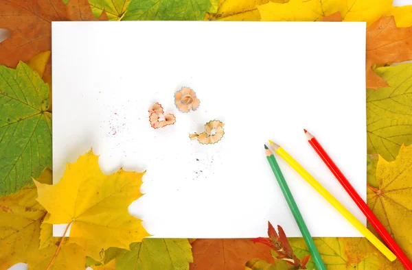 Листья, бумага и карандаши — стоковое фото