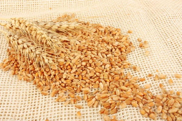 Wheat ears hill — Stock Photo, Image