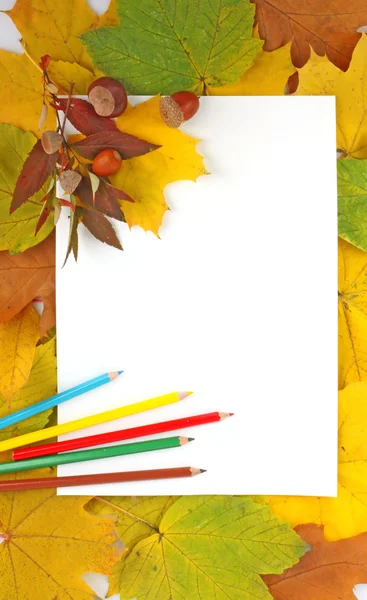 Levelek, a papír és a ceruza — Stock Fotó