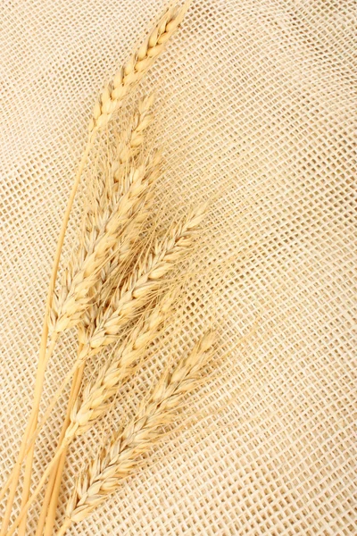 黄麻布の小麦 — ストック写真