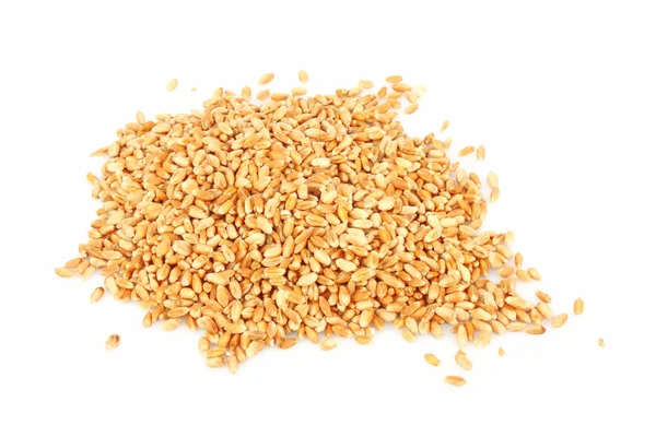 小麦の耳の丘 — ストック写真
