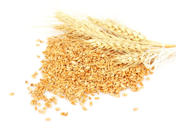 Orecchie di grano collina — Foto Stock