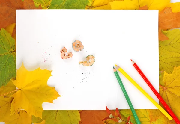 Blätter, Papier und Bleistifte — Stockfoto