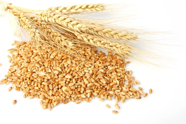 Orecchie di grano collina — Foto Stock