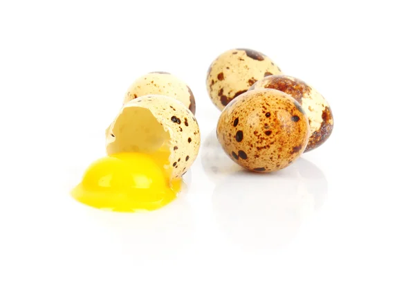 Quail egg broken — Stock Photo, Image