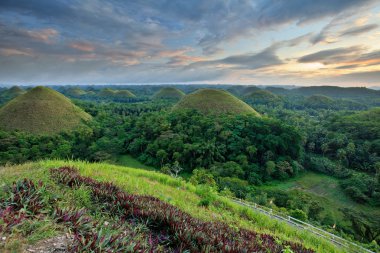 Chocolate Hills in Bohol, Philippines clipart
