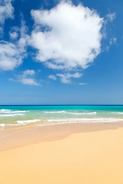 Ocean piękny plaża — Zdjęcie stockowe