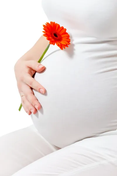 Pregnant woman touching here belly — Stock Photo, Image