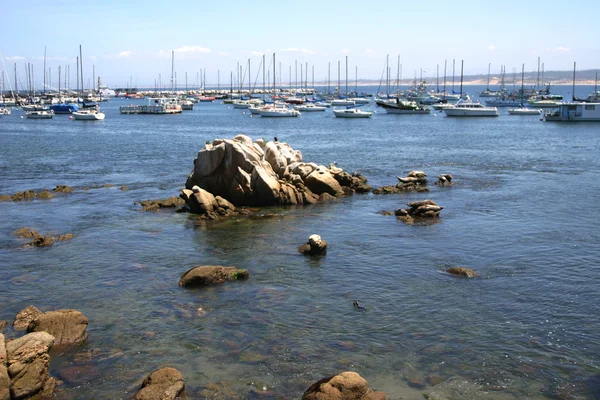 stock image Monterey Bay