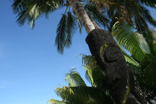 Oud standbeeld in palmen — Stockfoto