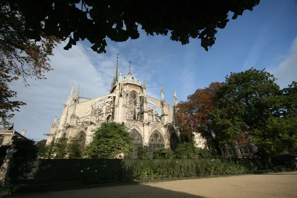 Notre Dame — 图库照片