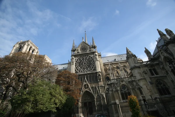 Notre Dame — Photo