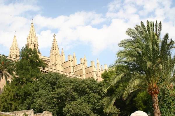 The Cathedral of Santa Maria of Palma — Stock Photo, Image