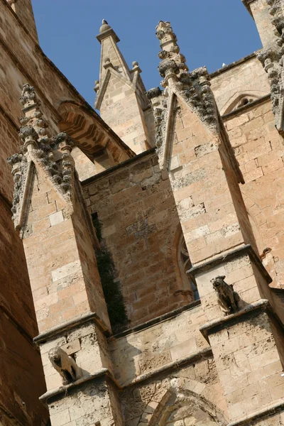 Domkirken Santa Maria of Palma - Stock-foto