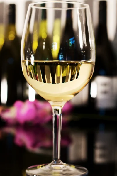 Chardonnay — Stock Photo, Image