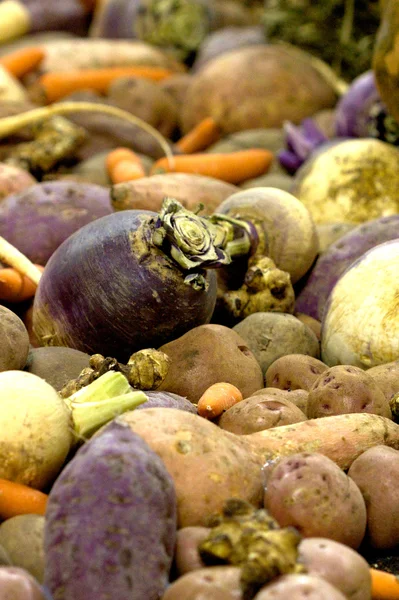 Fresh Root Vegetables — Stock Photo, Image