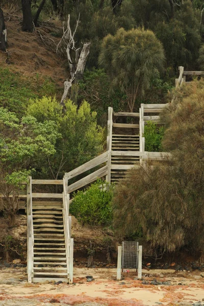 Escalera de ángulo en el bosque —  Fotos de Stock