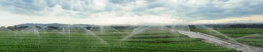 Watering fields panorama clipart