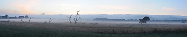 stock image Panorama at Mornington Peninsula