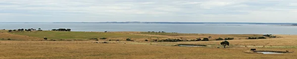 Västra hamnen panorama — Stockfoto