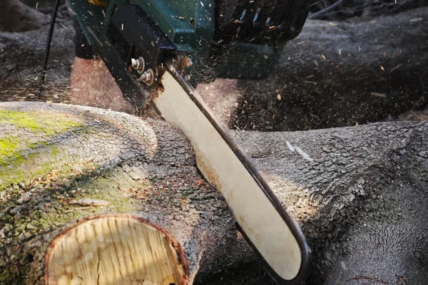 stock image Power saw in action