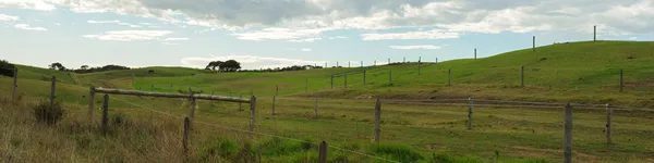 Horse farm panorama — Stock Photo, Image