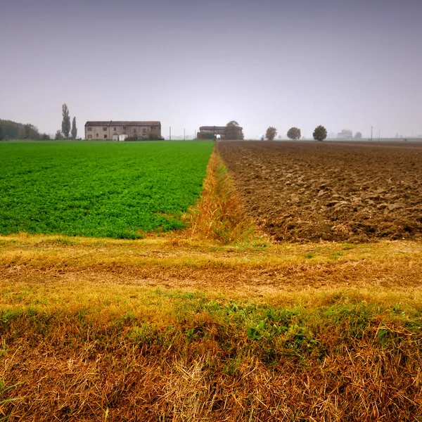 Velhas casas de fazenda e campos no inverno — Fotografia de Stock