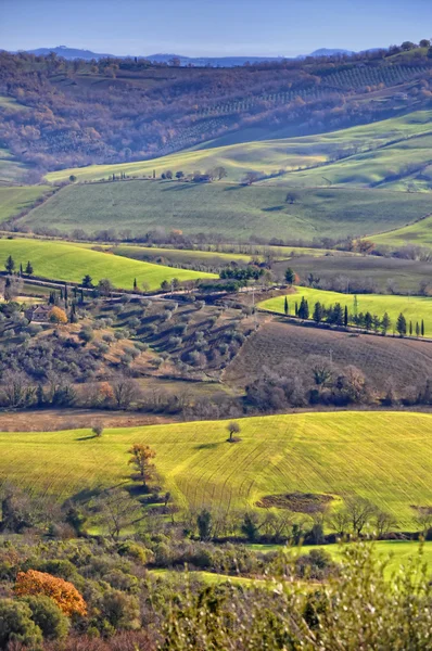 Поля и деревья в знаменитой долине Сатурнии в Тоскане — стоковое фото