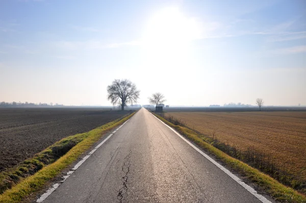 Straight rural road in Po Valley — Stock Photo, Image