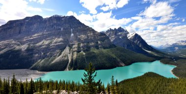 Peyto Lake in Rocky Mountains Canada clipart