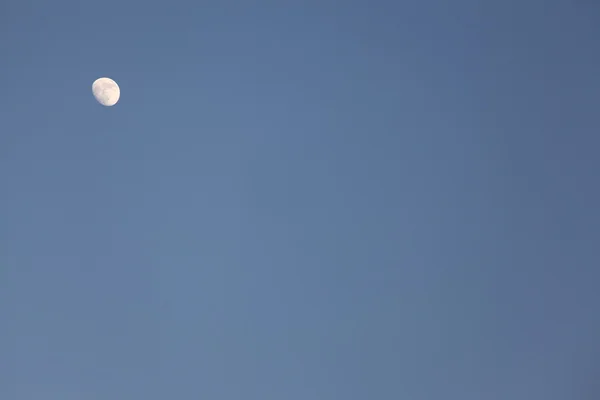 Stock image Moon in the sky