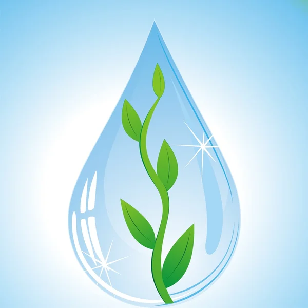 Tree sprout in water drop. — Stock Vector